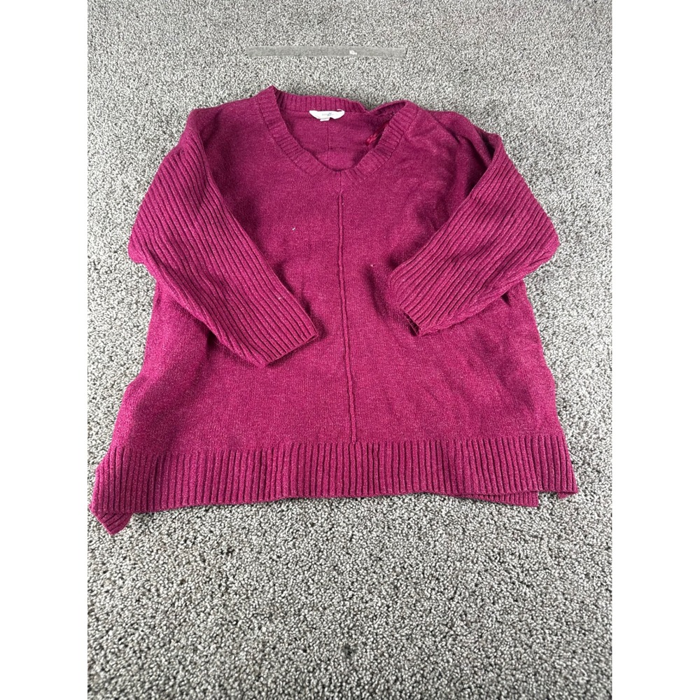 Terra & Sky Womens 1X Purple V-Neck Ribbed Sleeve Seam Sweater TS43100080585